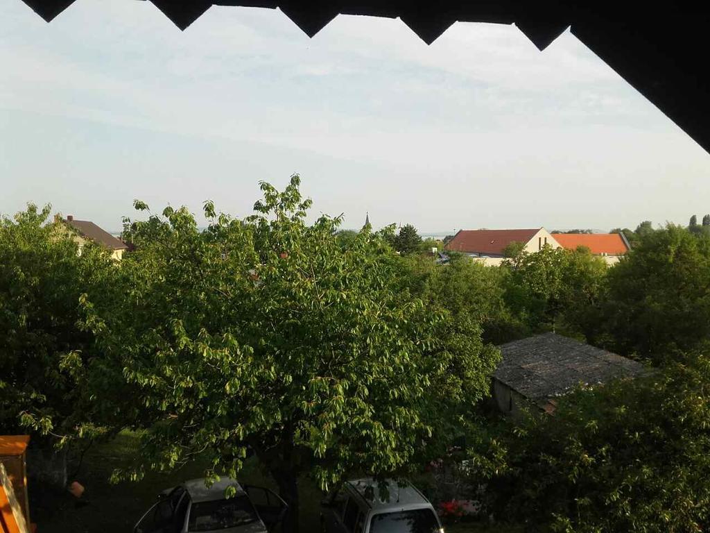 Anna Vendeghaz Hotel Balatonakali Buitenkant foto
